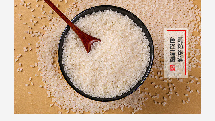 禾口王 东北特产500g大米农家新米小町1斤鲜产地货源珍珠米秋田 500g