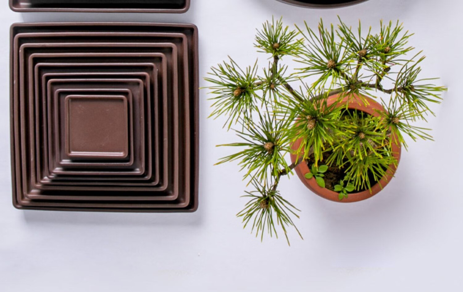 盆托接水底盘花盘底托圆长方形盆景花盆垫底接水底座 6#圆紫砂托盘