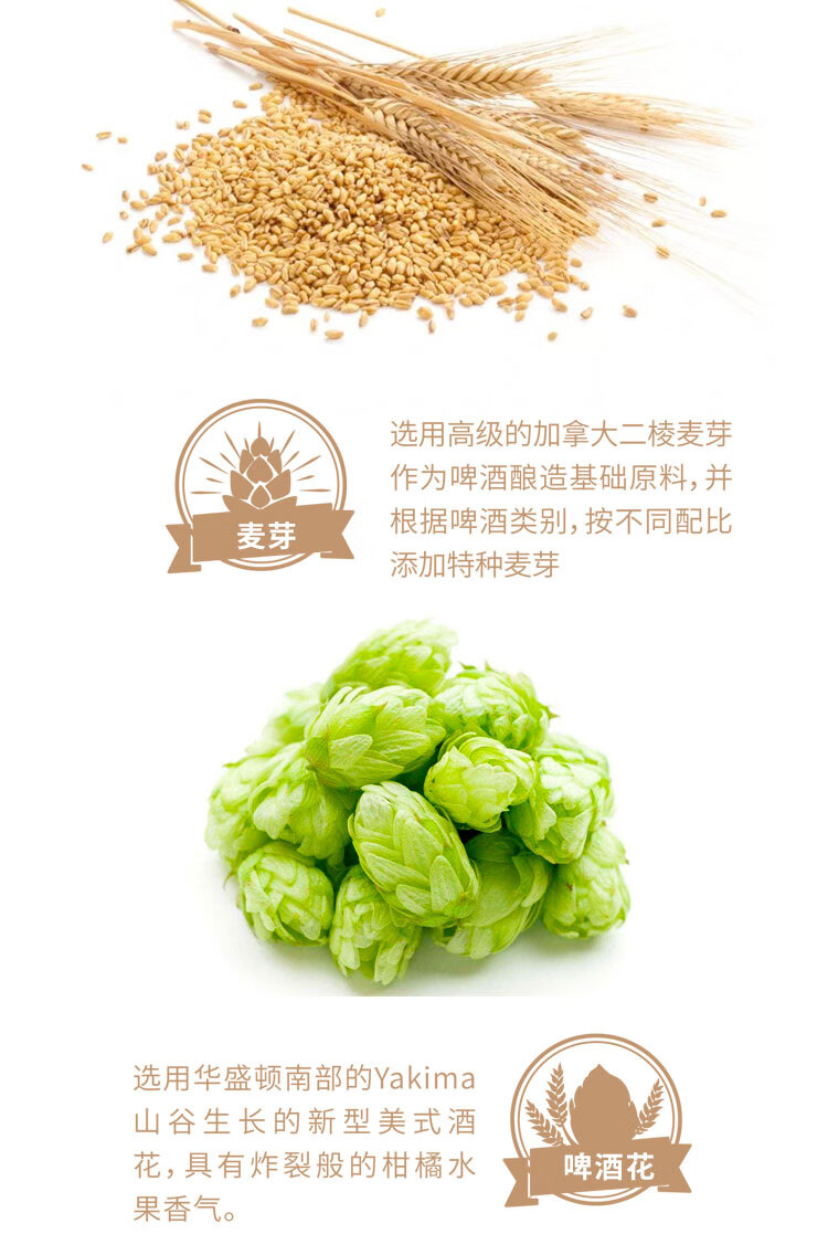 罗塞尔russell精酿啤酒黑波特黑啤play鹿330ml6瓶