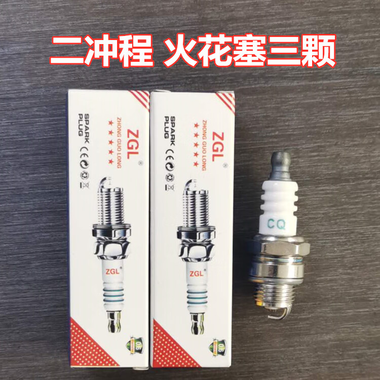 b44507dbb8cdbc8a.jpg