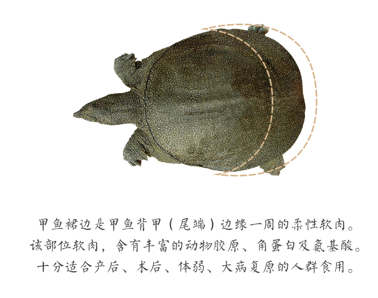 5折 龟板裙边 李生记 甲鱼裙边 水鱼裙干 群边干货 中华鳖龟板胶200克