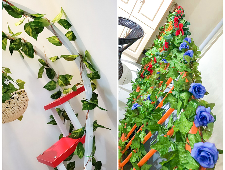 荷叶大号-99叶×1条【图片 价格 品牌 报价】-京东