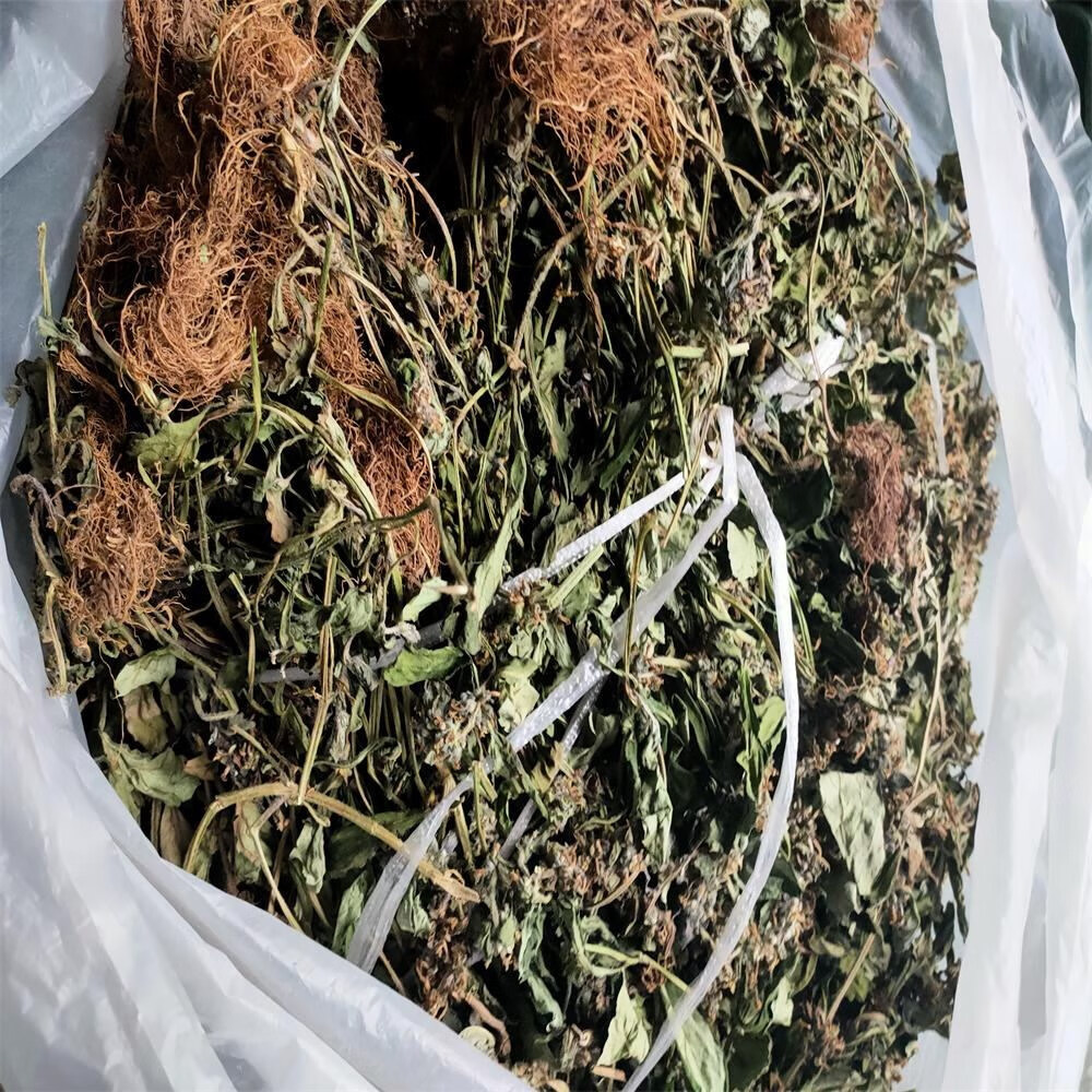 中材干品筋骨草 白毛夏枯草 散血草 破血丹 苦草 中草 500克 红色