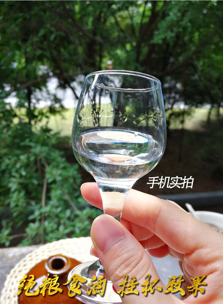 遵杯酱酒图片