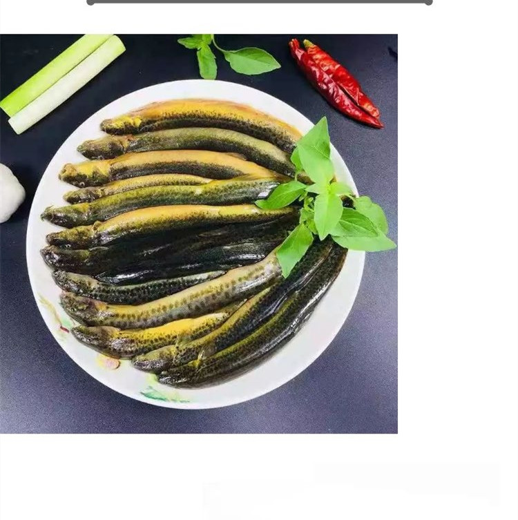 泥鳅淡水活鱼大板鳅活体鱼青鳅黄鳅鱼现杀滋补炖汤老人儿童补钙1斤10