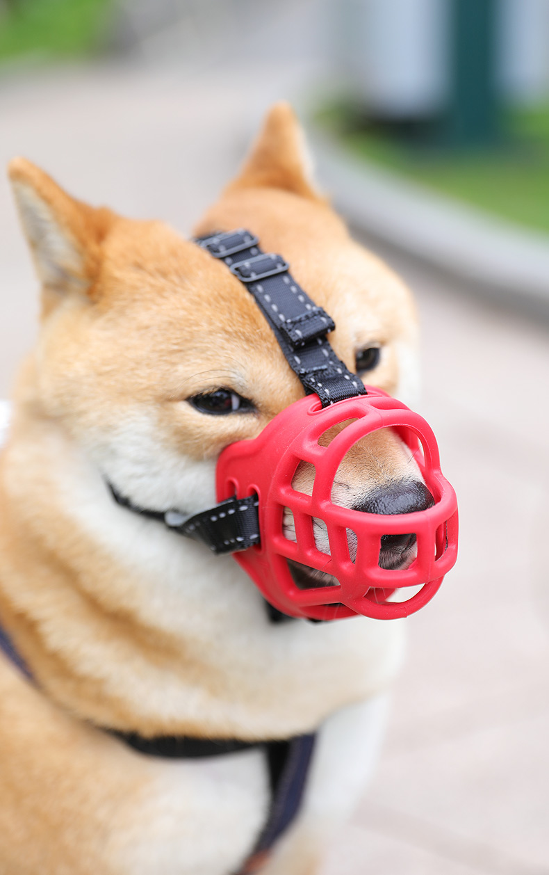 喝水狗嘴套防咬人叫口罩防乱吃大型犬宠物套嘴狗罩可喝水小狗嘴罩狗套