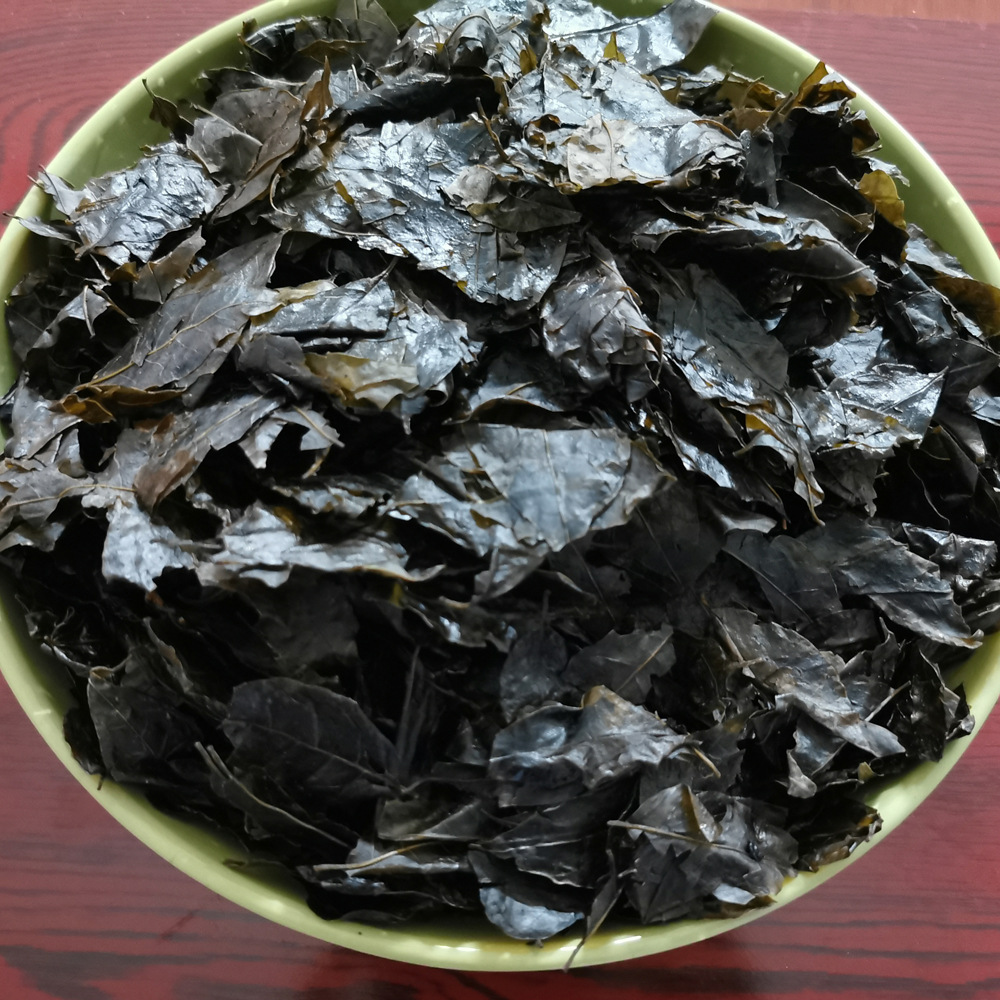 北京同仁堂毛冬青叶中药材乌尾丁痈树六月霜细叶冬青细叶青