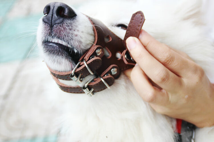 狗狗嘴套狗口罩防咬防叫中大型犬止吠器防乱吃神器金毛萨摩耶嘴套