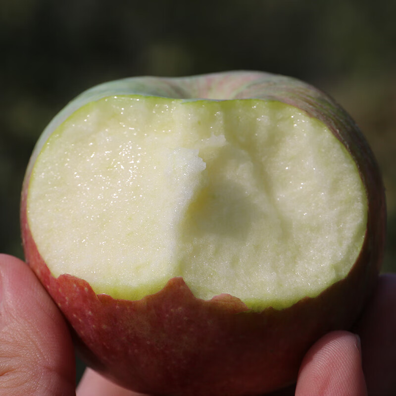 北京平谷小国光苹果山区老品种国光苹果小国光酸甜可口新鲜水果 2500g