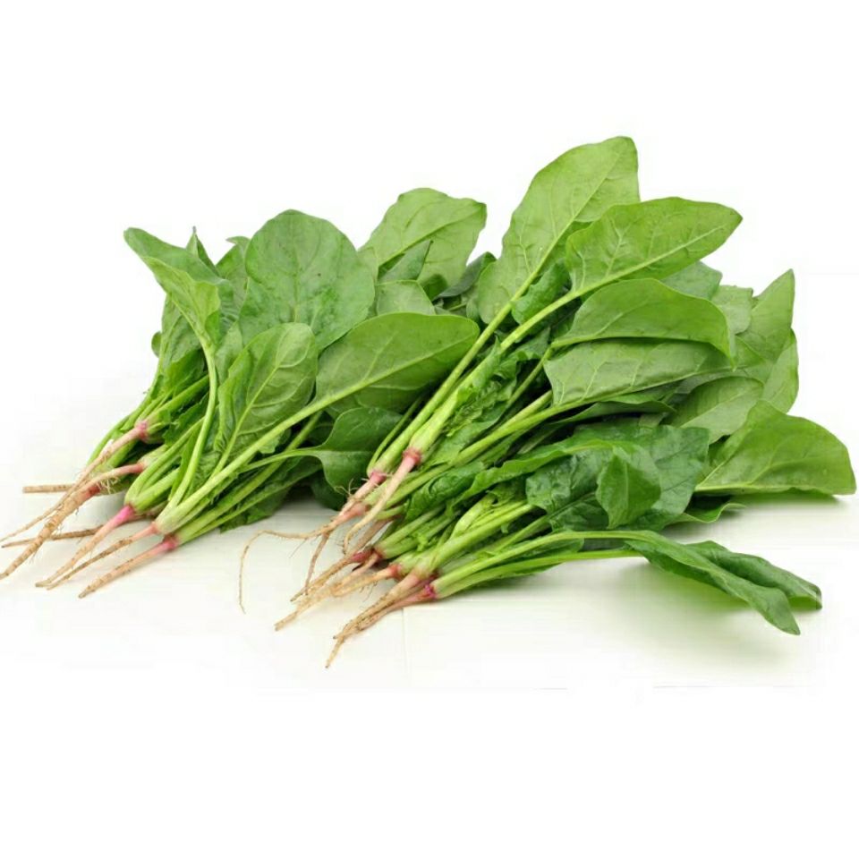 脱水蔬菜干菠菜干香菜干香葱大蒜方便面蔬菜包煮汤配料菜速食汤包小米