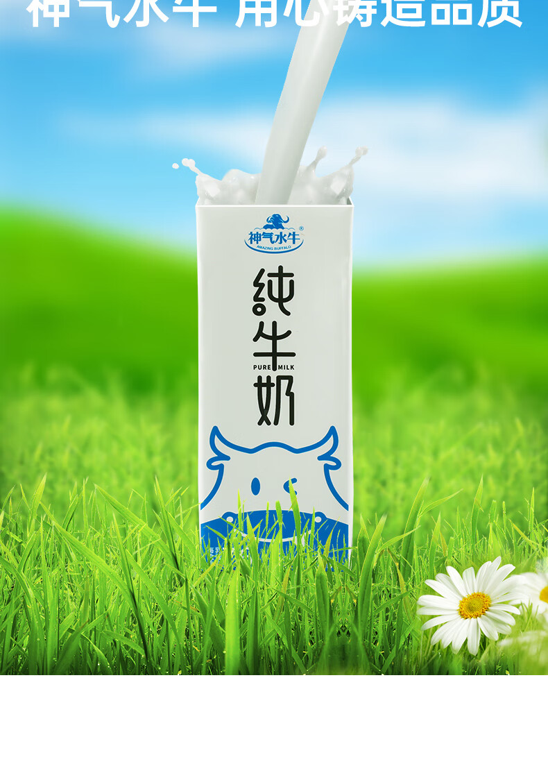 皇氏乳業神氣水牛純牛奶水牛奶全脂兒童成人早餐奶200ml*10盒*2箱 20