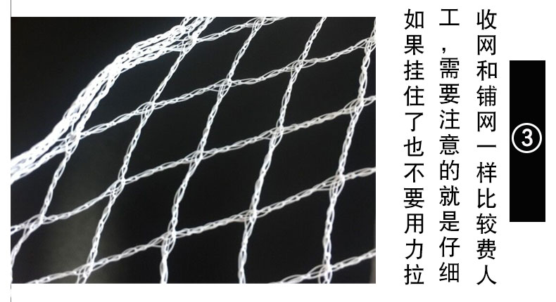 葡萄防鸟网家用果园防鸟网果树西红柿农用大棚防鸟网菜地防鸟网长方形