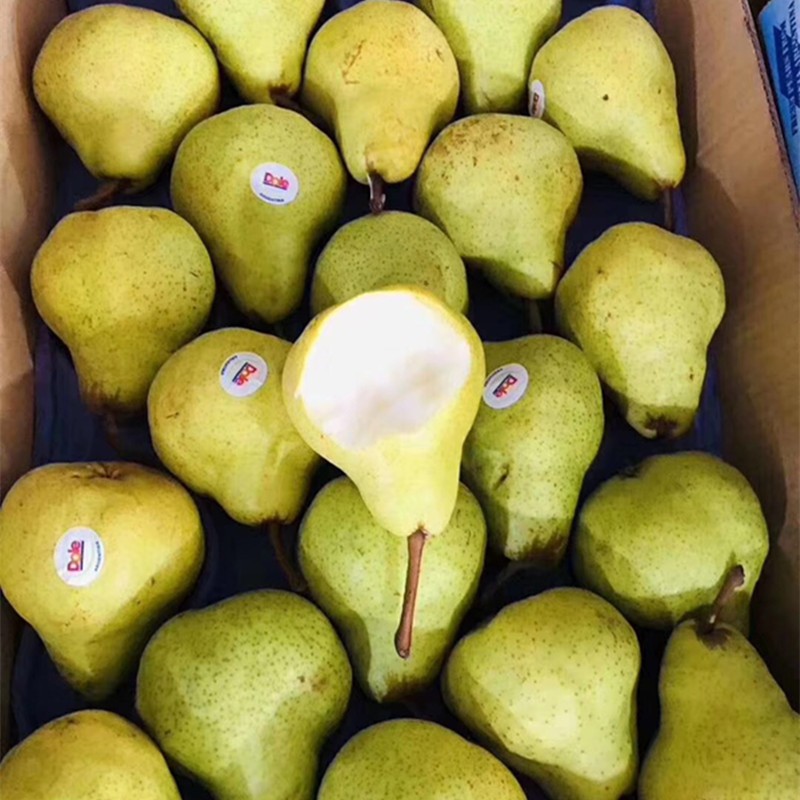 都乐大头梨dole新鲜应季水果青皮梨阿根廷甜糯香甜5斤