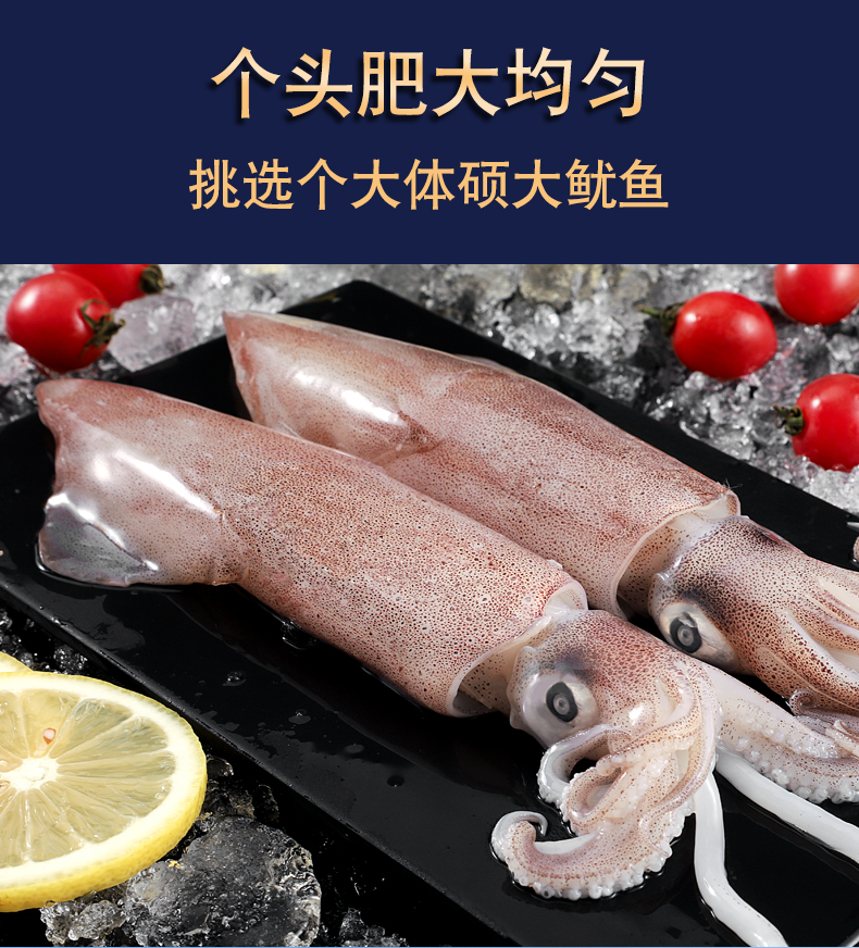 深海捕捞新鲜红鱿鱼活冻枪乌贼笔管墨斗海兔海鲜软足类团建送礼生鲜5