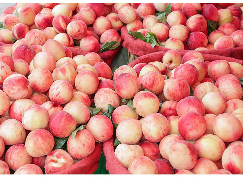 奢旺【精选好果】金秋红蜜桃离核纯甜新疆水蜜桃顺丰新鲜孕妇水果现摘