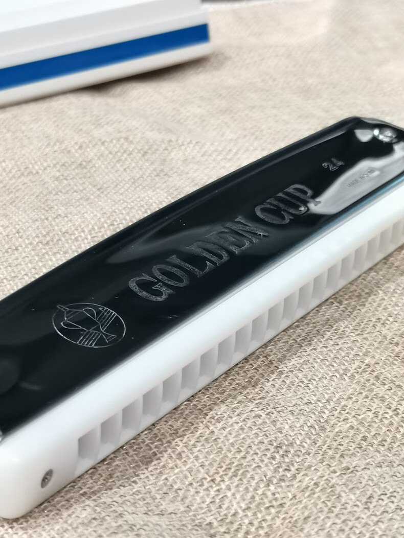 半音阶口琴 24孔48音半音阶口琴初学者儿童学生学校用自学练习专业