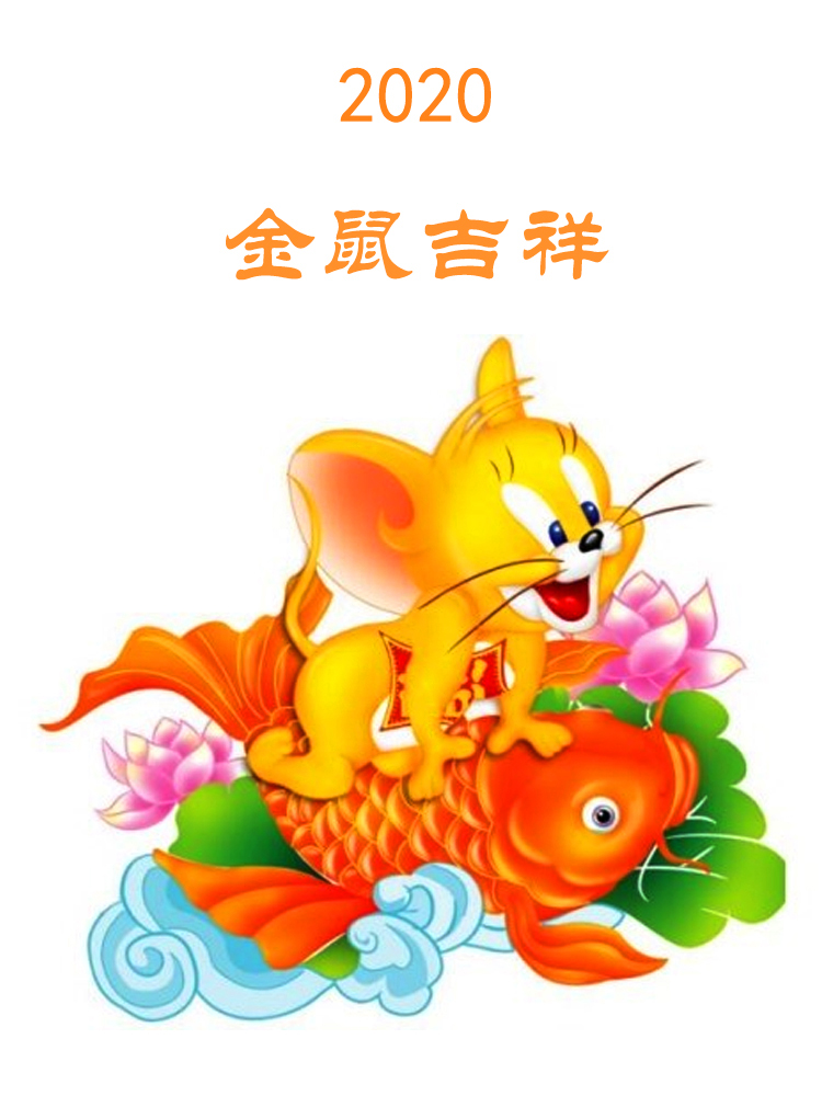 孕妇别针安全针辟避邪宝宝婴幼儿细针12生肖猪鼠平安守护压惊锁针 粗