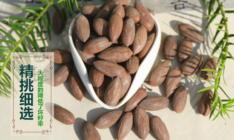 东阳西垣香榧西恒特产2021年级香榧子新货品 1.