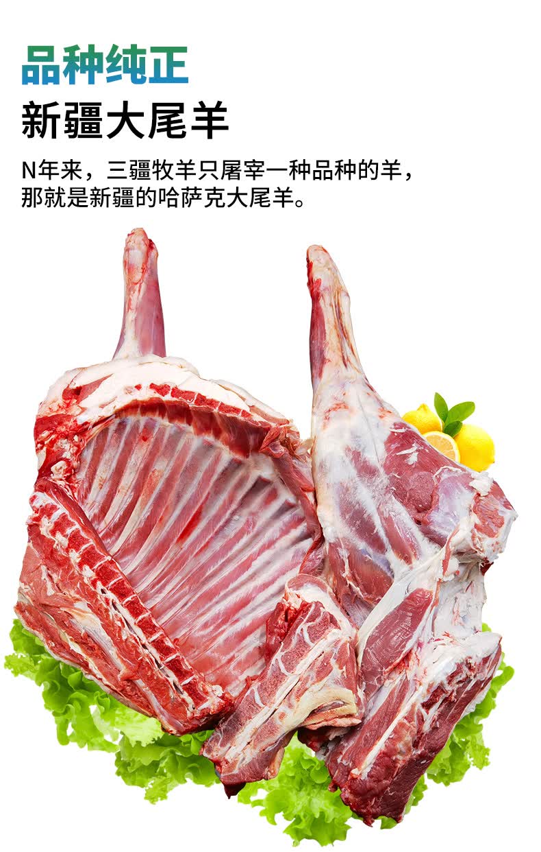 三疆牧羊 新疆羊肉10斤 生鲜年货羊肉礼盒精修羔羊腿羊排国产新鲜烧烤