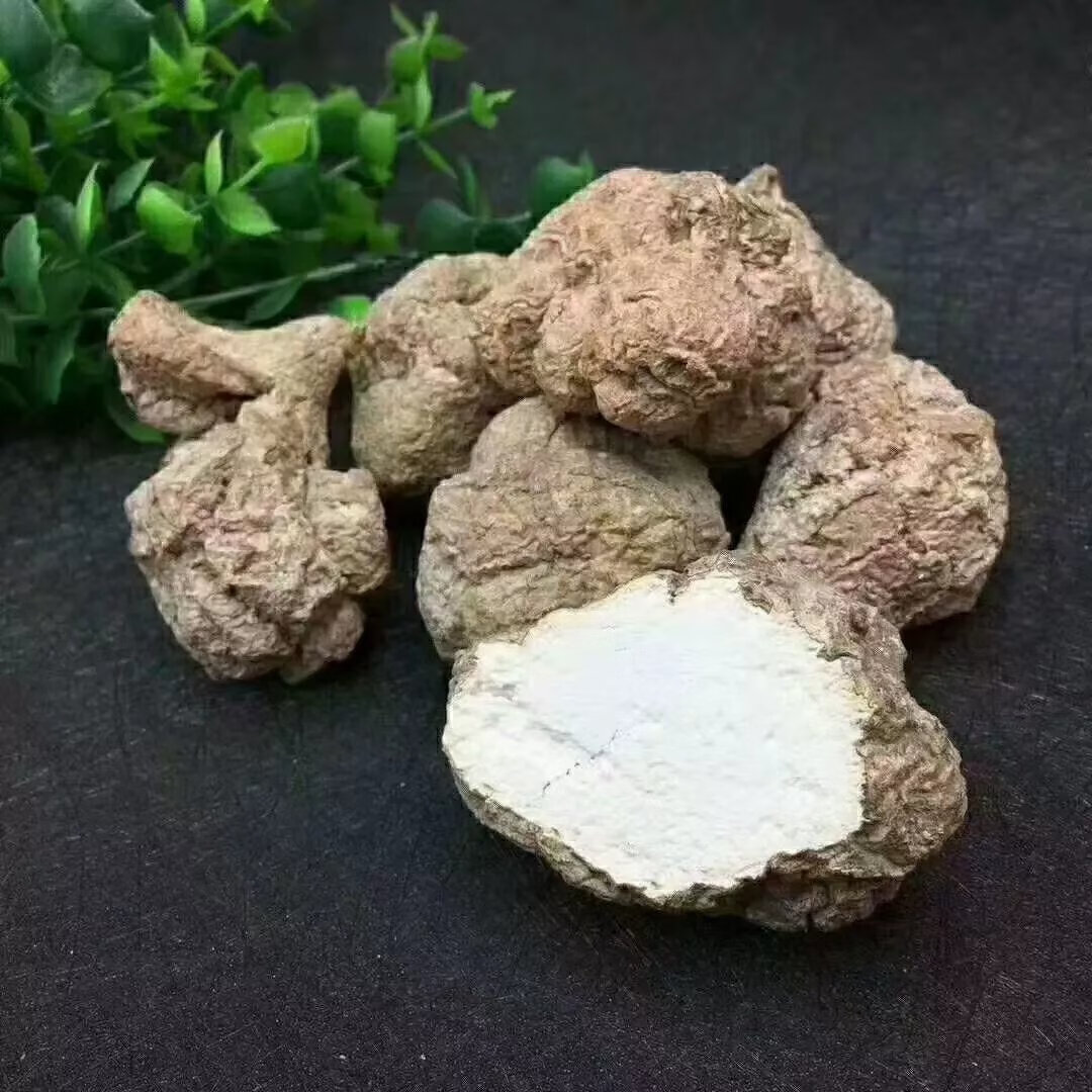 有仁堂野生虎奶菌马来西亚虎乳菌虎乳灵芝中药材250g 虎奶菌粉500克宋