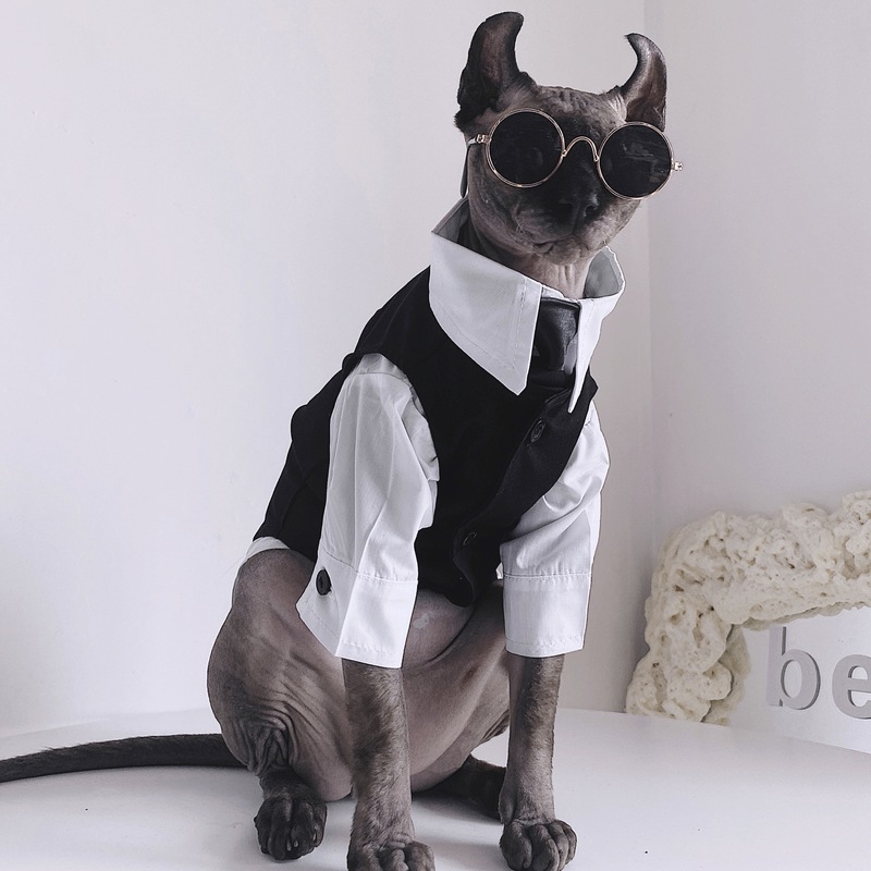 无毛猫衣服斯芬克斯猫德文秋冬英伦风礼服结婚西装衬衫套装宠物 黑色