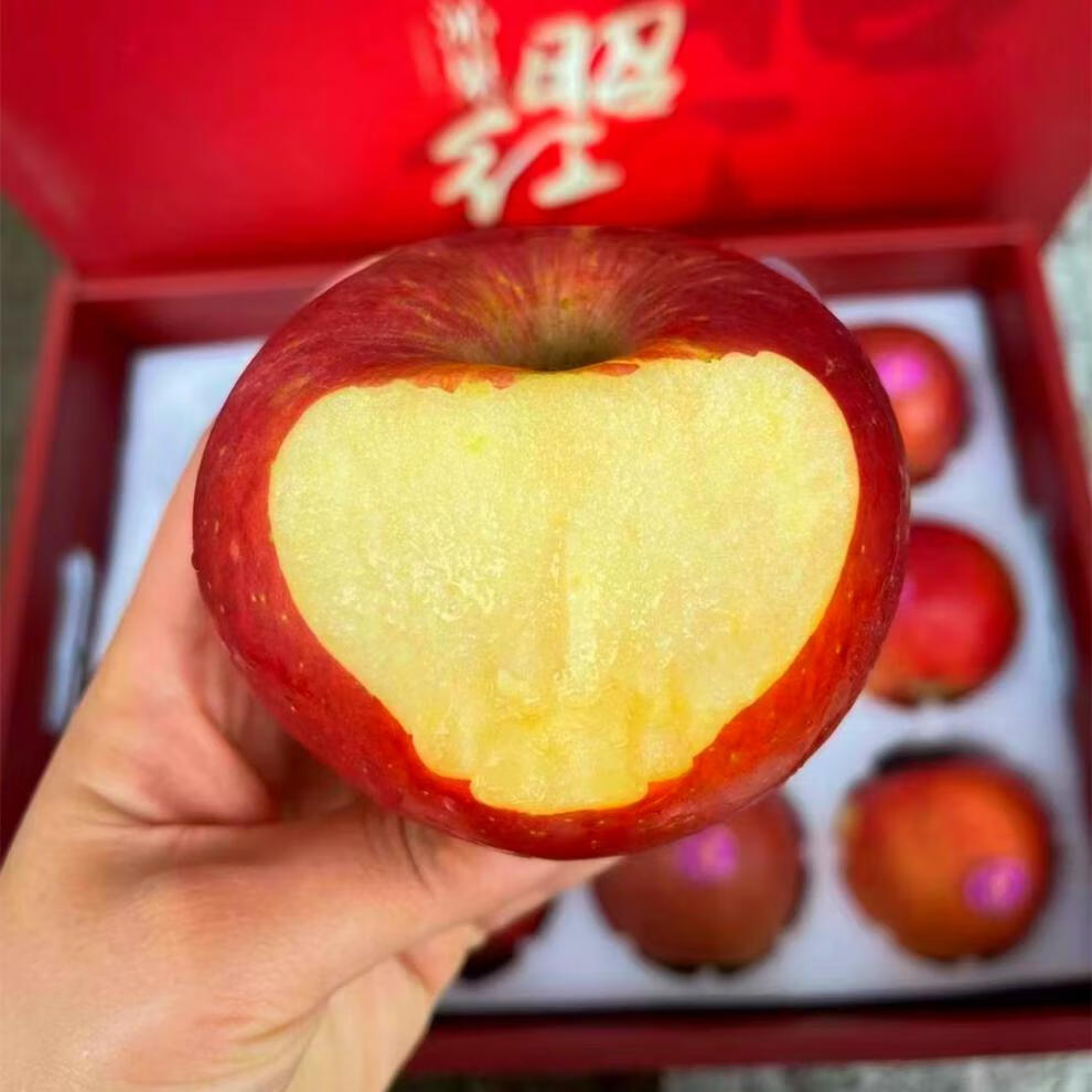 云南高原邵阳红苹果礼盒装大果新鲜孕妇水果高原红苹果 5斤 75mm(含)