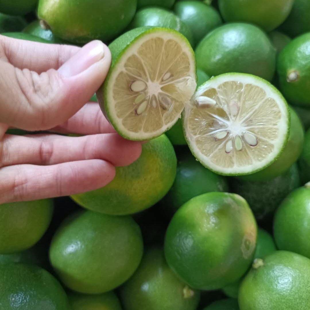 【每天发货】海南四季青柠檬新鲜小青柠有籽青柠檬酸爽皮薄 3斤精选