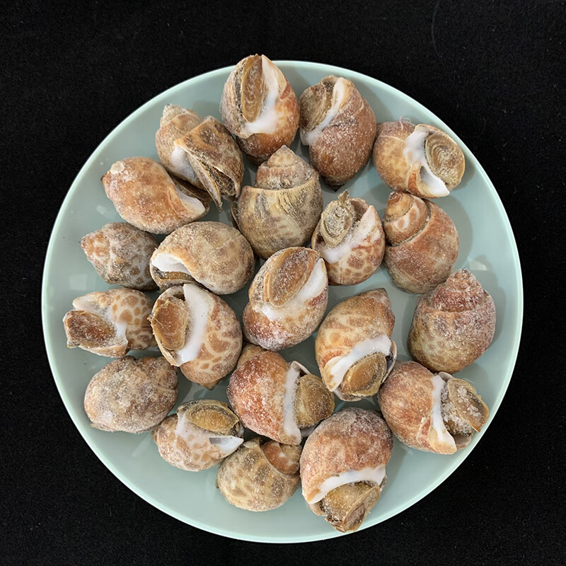 小鱼戏虾 花螺鲜活速冻东风螺冷冻贝类生鲜 8斤花螺【图片 价格 品牌