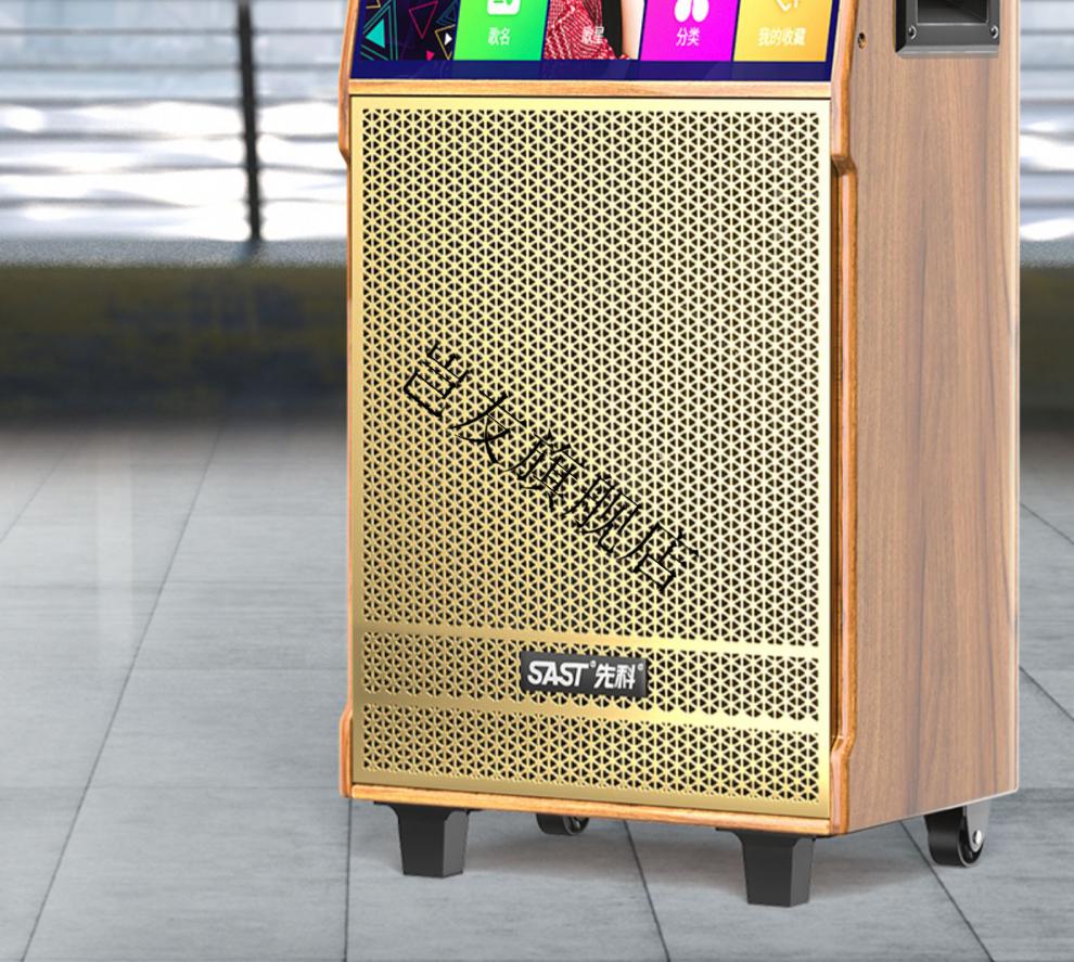 索尼(sony)通用户外广场舞音响带显示屏大功率麦克风k歌视频一体机带