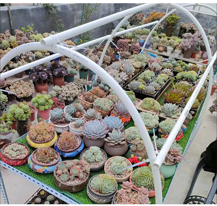 角钢带孔货架置物架定制材料不等边三角铁冲孔支架花架铁架子 白色边