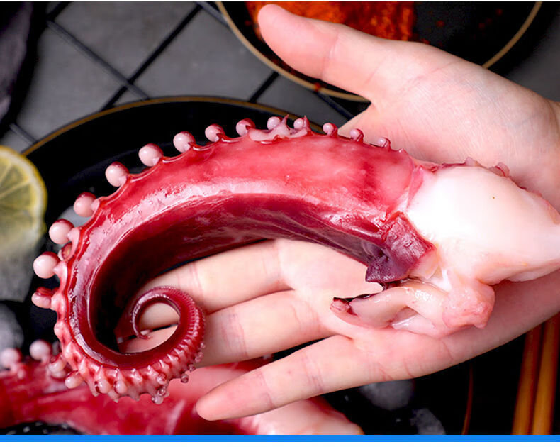 新鲜特大脆口大鱿鱼须新鲜冷冻八爪章鱼须速冻烧烤食材海鲜禧客鲜净重