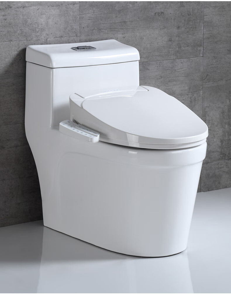 欧诺佳即热式冲洗带遥控坐便盖板洁身器多功能全自