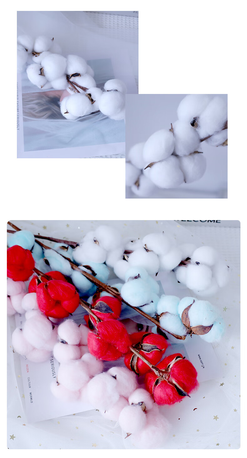 北京千日红鲜花批发永生花干花棉花永生花天然木棉花假花仿真拍照摆件