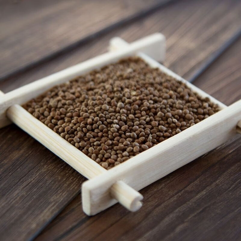 北京同仁堂原料 紫苏子食用批发苏子籽熟紫苏在粉新货无硫大苏子生