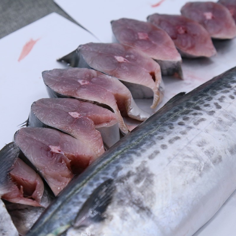 博多客 鲅鱼 新鲜大鲅鱼 鲜活冷冻 燕鲅鱼 马鲛鱼 青岛深海 海鲜水产