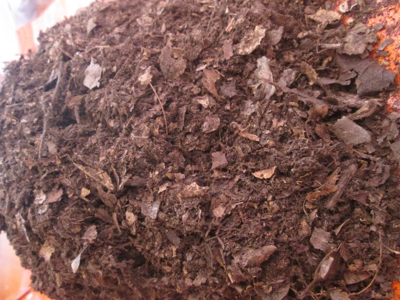 纳格兰橡树叶腐殖土腐叶土兰花君子兰专用橡叶种植酸性营养土肥料 5斤