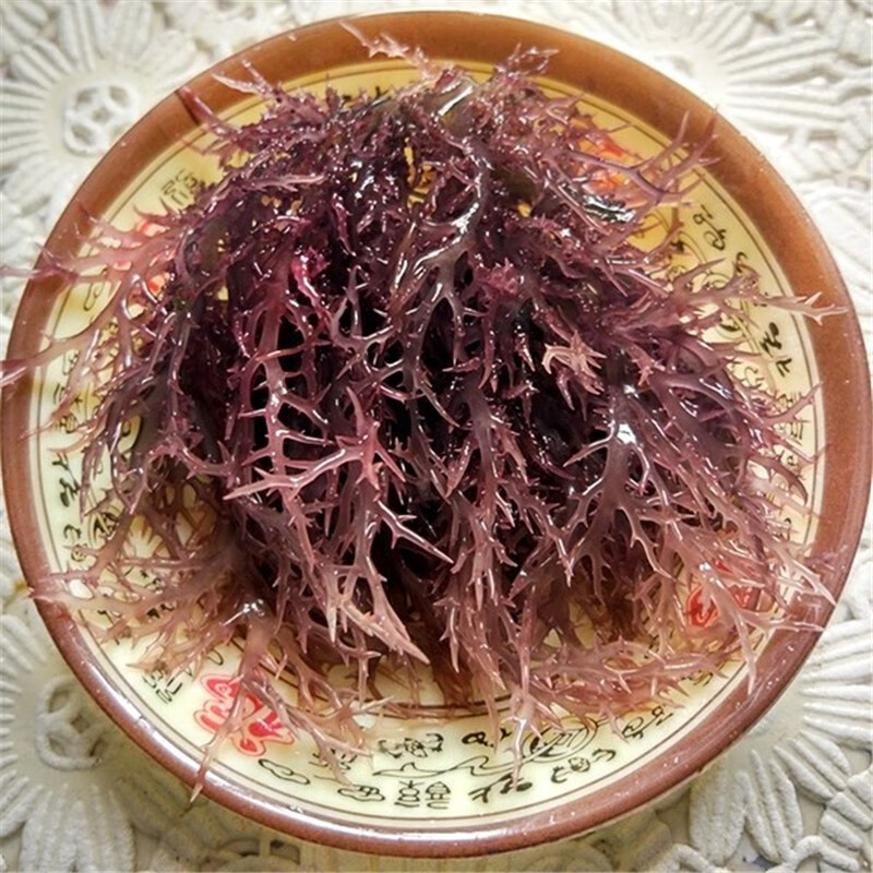 大菜园 新鲜冰藻干货 凉拌菜 海草龙须菜 新晒冰藻 海藻石花菜 1kg装
