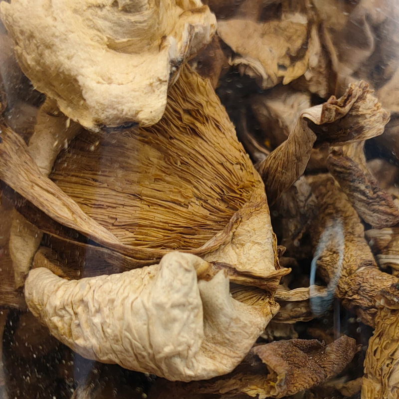 山西五台山野生台蘑五台山干蘑菇干货野生食用菌类煲汤山珍礼盒【图片