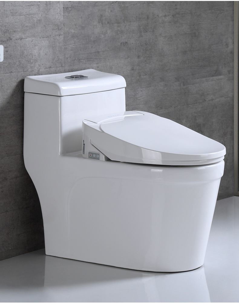 欧诺佳即热式冲洗带遥控坐便盖板洁身器多功能全自