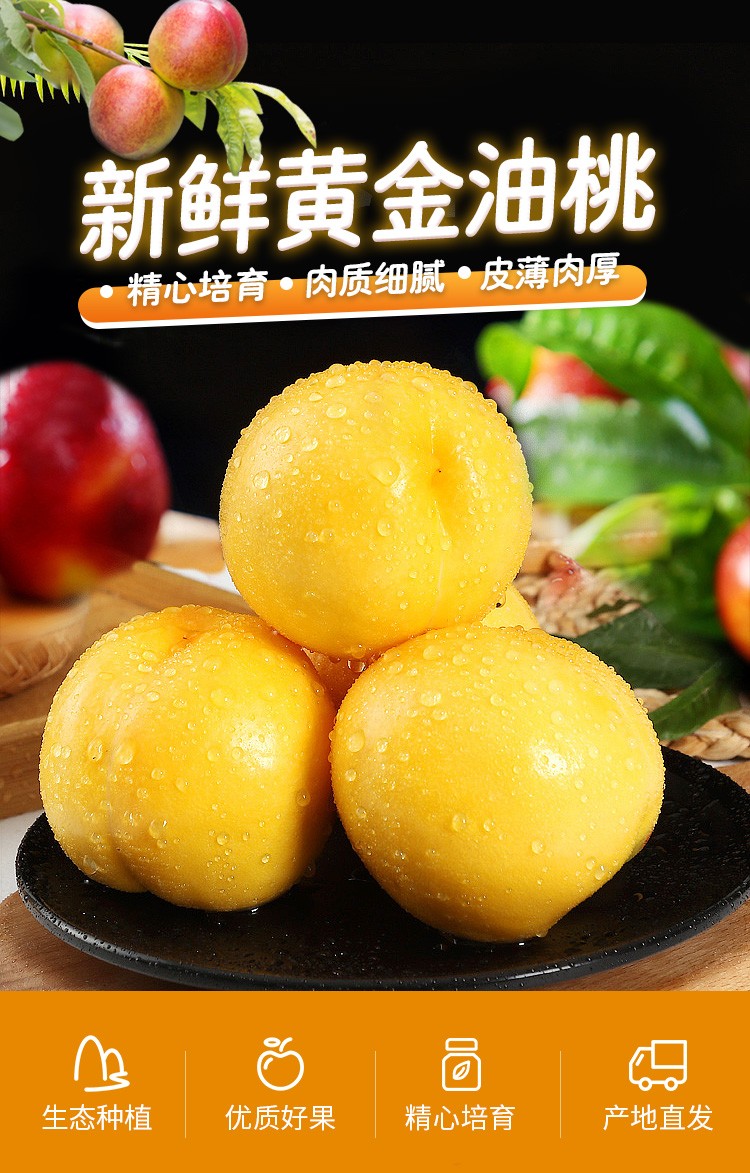 山东蒙阴黄金油桃新鲜水果当季时令生鲜水果沂蒙山特产黄油桃产地果园
