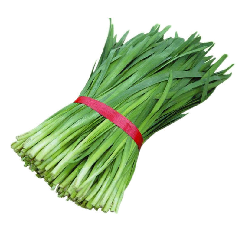 适用于韭菜新鲜蔬菜现割现发农家自种食用应季饺子馅鲜嫩头茬菜批发 