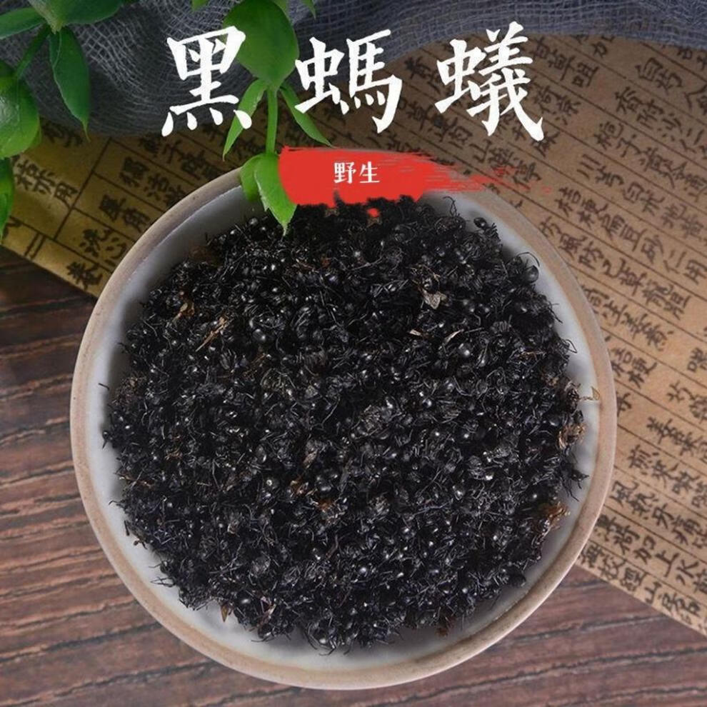 广西大黑蚂蚁干野生拟黑多刺蚁黑蚂蚁可食用泡酒料110g可磨粉 深山黑