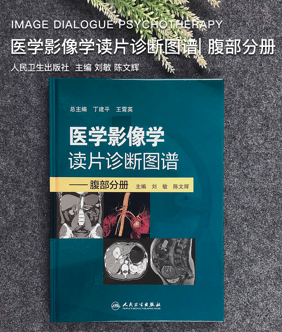 醫學影像學讀片診斷圖譜腹部分冊劉敏陳文輝人民衛生出版社