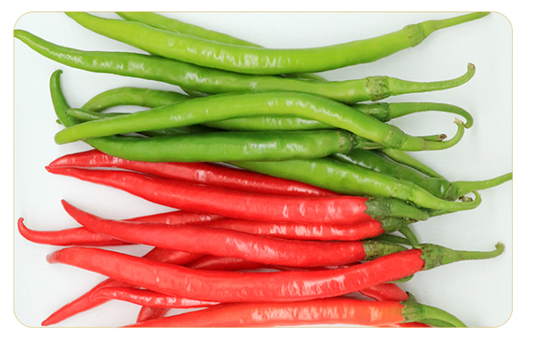 农家新鲜红辣椒青红二荆条长辣椒现摘红辣子红尖椒剁中辣线椒青二荆条