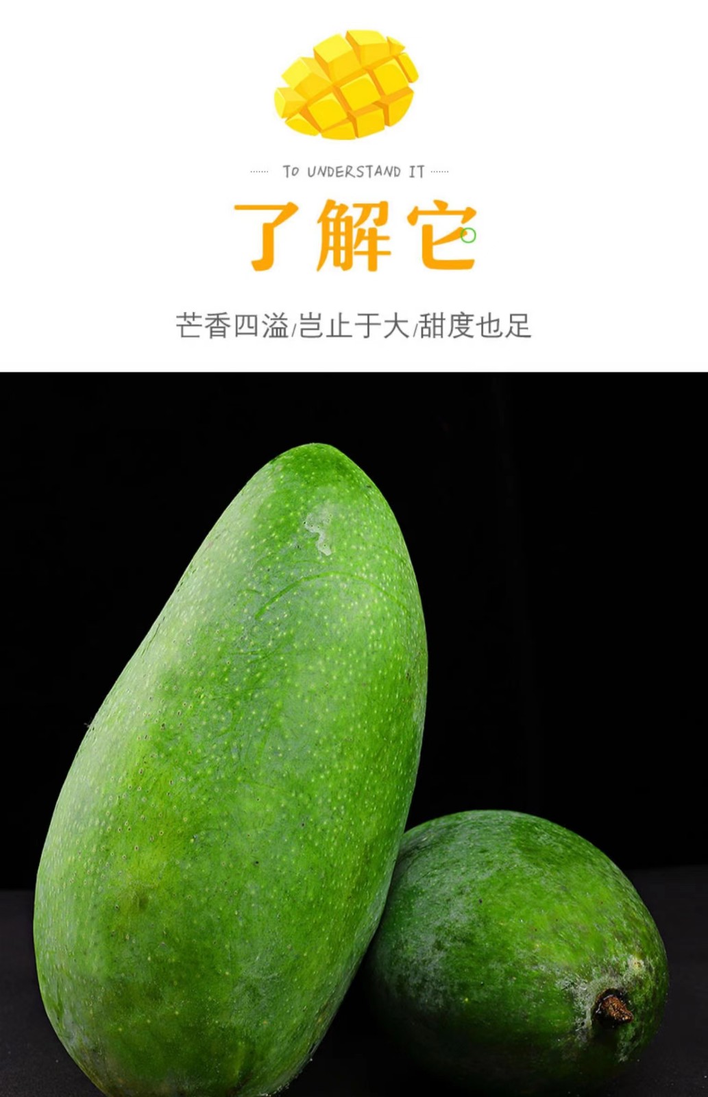 现摘现发大青芒金煌芒 大芒果 应季新鲜水果现摘现发 纯甜无丝 5斤200