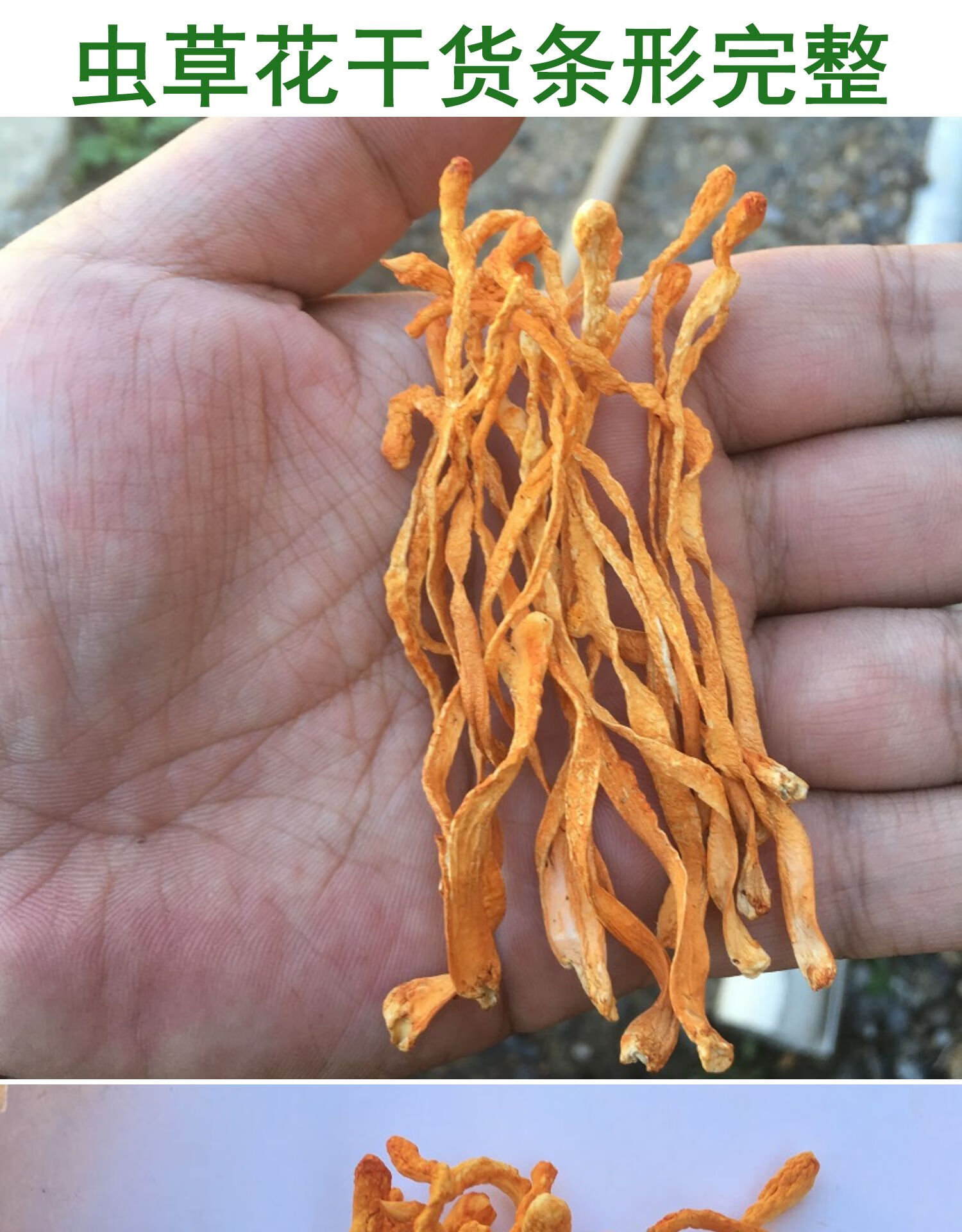 500克虫草花干货特级孢子头精选新鲜北金蛹虫草煲汤材料1斤