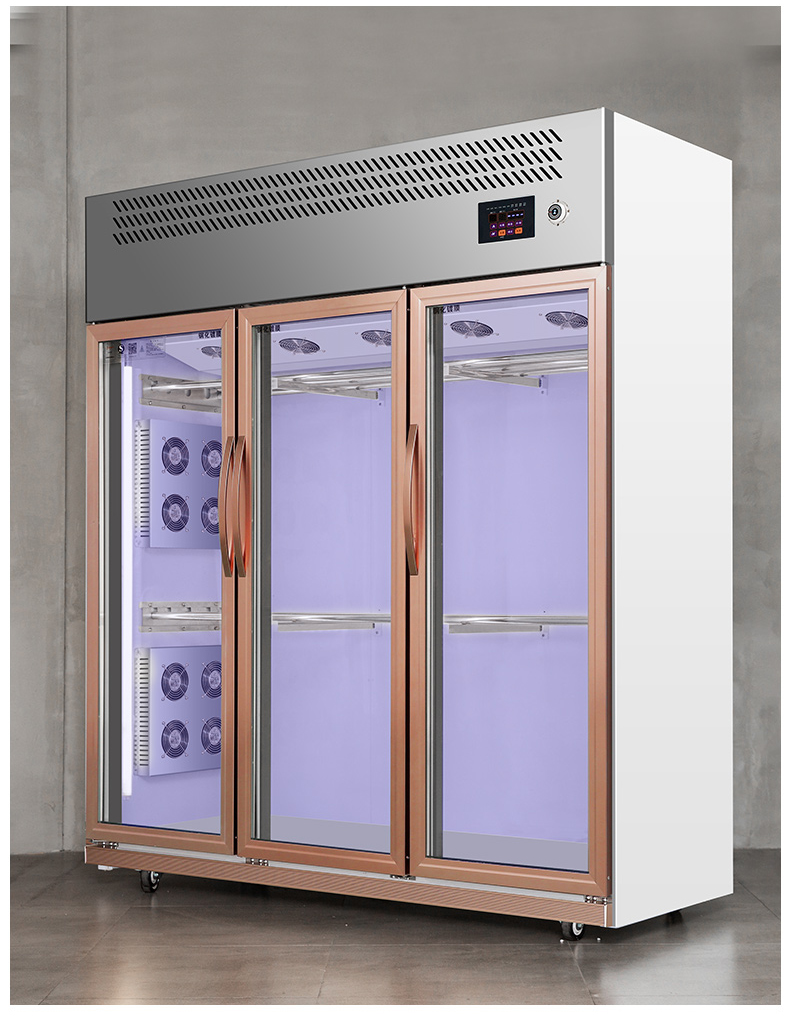 索歌商用智能晾鸭柜烤鸭晾鸭晾胚保鲜柜烧鸭烧鹅烧腊晾胚柜风干柜单门