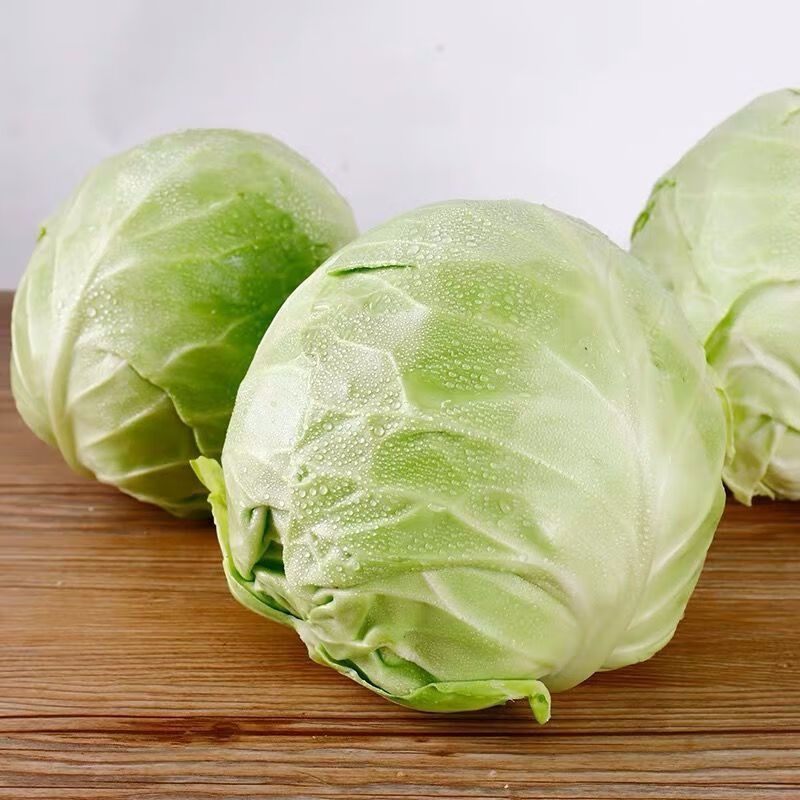 媚调 云南新鲜包菜圆白菜绿甘蓝莲花白卷心菜包心菜 【精选 不带老叶