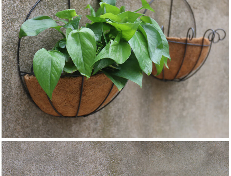 椰丝半圆形花盆 植物盆栽花垂吊透气 棕垫铁艺花盆悬挂式铁链吊篮