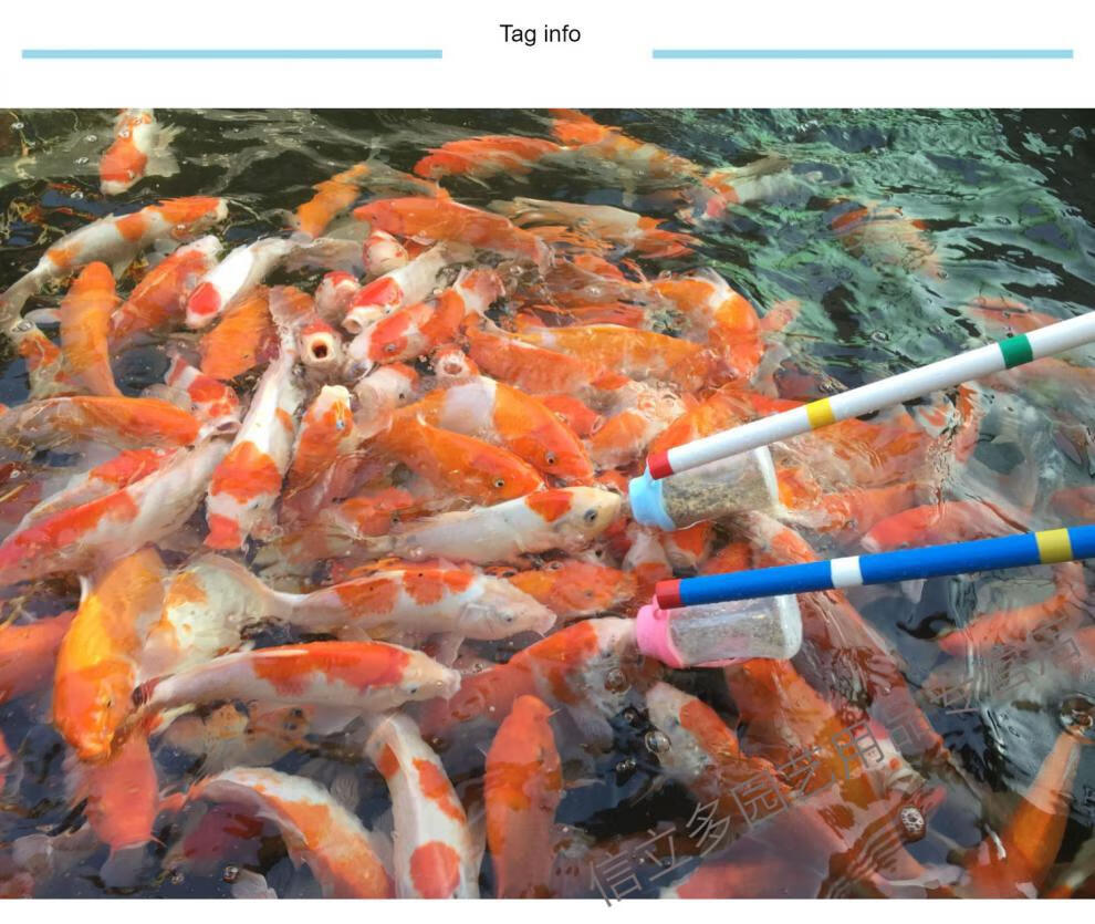 吃奶鱼奶瓶新款彩色杆喂奶鱼奶瓶商场奶嘴鱼奶瓶带杆奶瓶吃奶鱼奶瓶